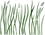 stencil a4070l , Grass Large 