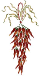 stencil a955 , Hanging Chilis  