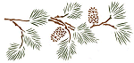stencil az4 , Pine Bough 