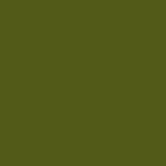 stencil f449 , Olive Green 