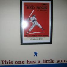 click for larger image